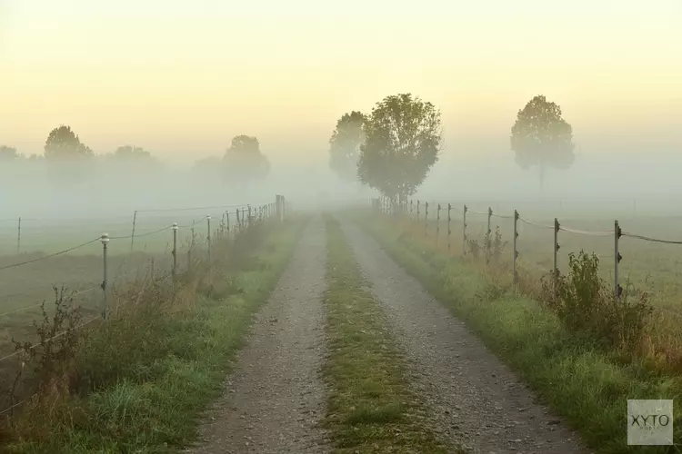 Week begint rustig, later mist, wind en buien