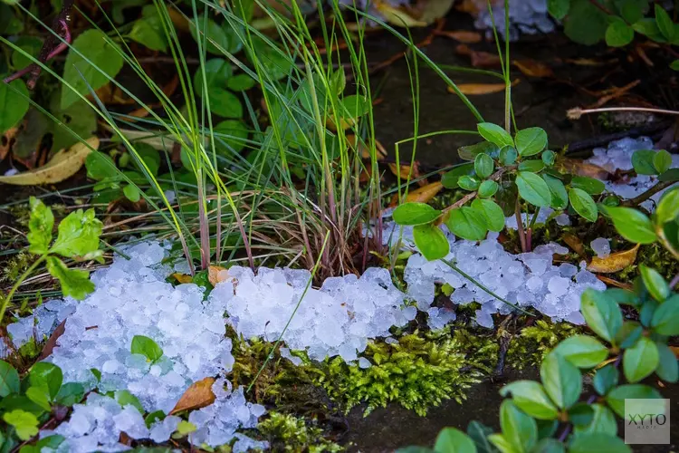 Guur herfstweer op komst: wind, kou en neerslag met mogelijk winterse buien